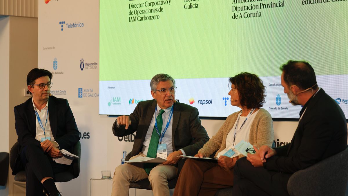 Expertos en transición energética apuestan por utilizar fuentes de proximidad: "Hay que empezar desde lo local"