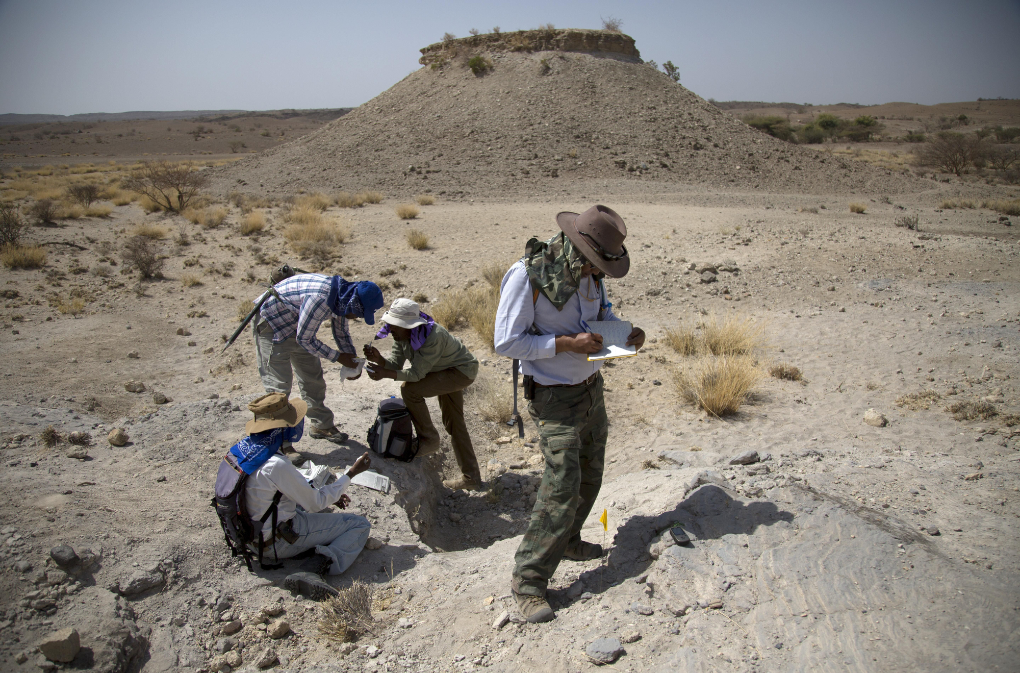 Haile-Selassie y su equipo recolectando fósiles en uno de los yacimientos en Etiopía.