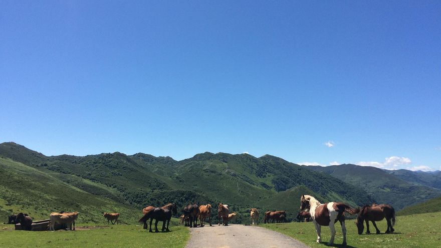 Alto de Fancuaya, donde la organización de La Vuelta ha instalado la meta inédita en la ronda española. 