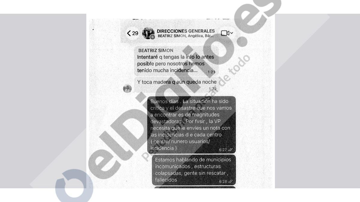 Fragmento del grupo de WhatsApp de las directoras generales de Susana Camarero.