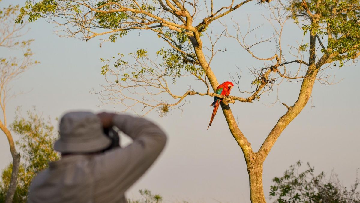 Durante el invierno, las condiciones climáticas favorecen el avistaje de fauna y las actividades al aire libre