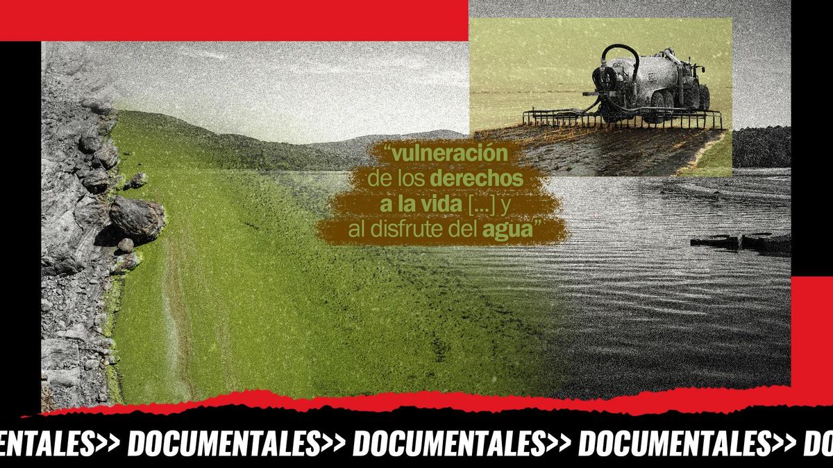 Montaje: de izqda. a dcha. las orillas contaminadas del embalse de As Conchas, una frase de la sentencia judicial lograda por sus vecinos y una imagen de archivo de un camión esparciendo purines en un cultivo, todo ello sobre el embalse en Muiños