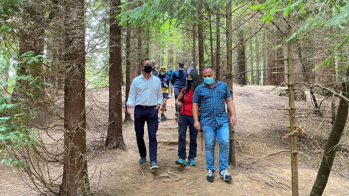 El consejero de Desarrollo Rural y Medio Ambiente, Guillermo Blanco (izda), participa junto con el alcalde de Cabezón de la Sal, Víctor Reinoso, en una ruta de 'Naturea' por el Bosque de Secuoyas