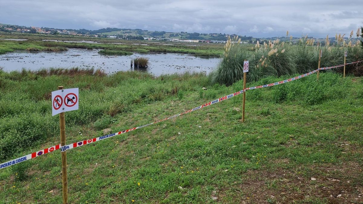 Carteles de prohibido el paso a personas y perros en el entorno de la ría que ha sido precintado por el Ayuntamiento de Suances.