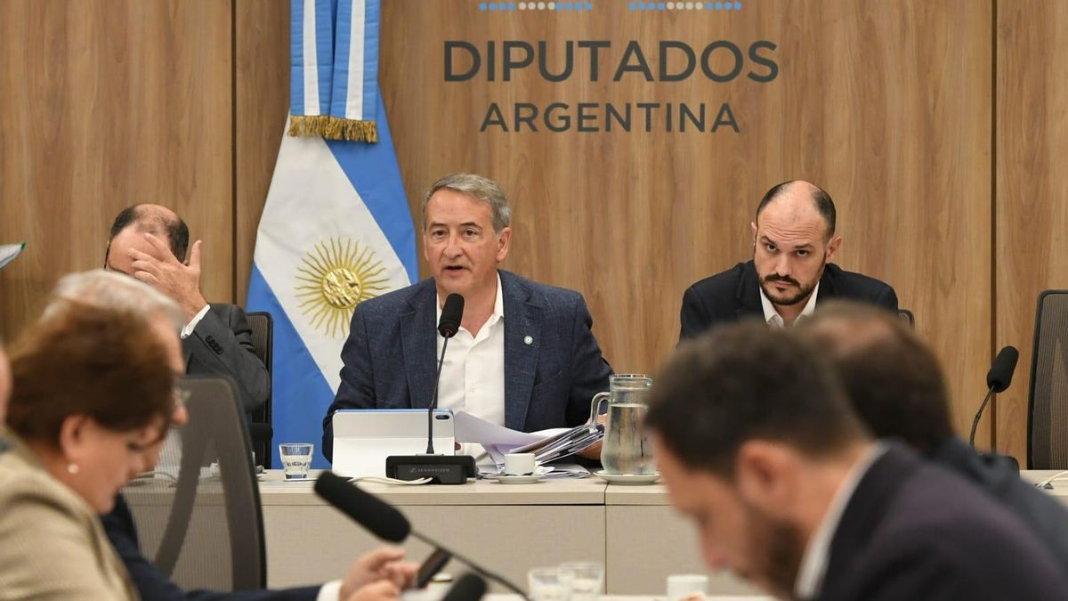 Súper RIGI y Ley de Lobby: el Gobierno retoma la iniciativa en Diputados e impulsa su agenda