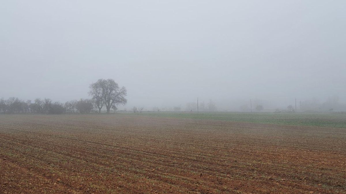 Los límites a los alcaldes pedáneos para gestionar los bienes comunales: sentencias y dictámenes ponen freno a excesos
