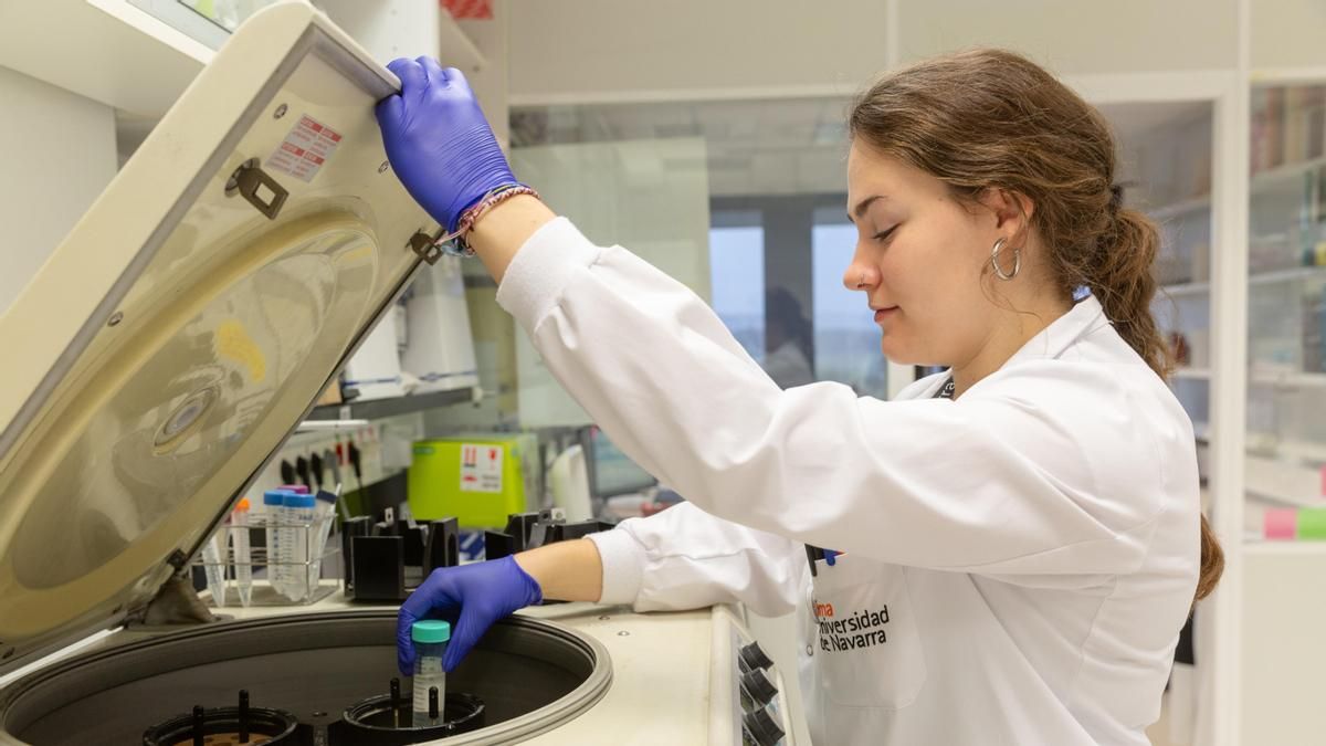 El Grupo Lopesan impulsa una investigación pionera para personalizar el tratamiento del mieloma múltiple