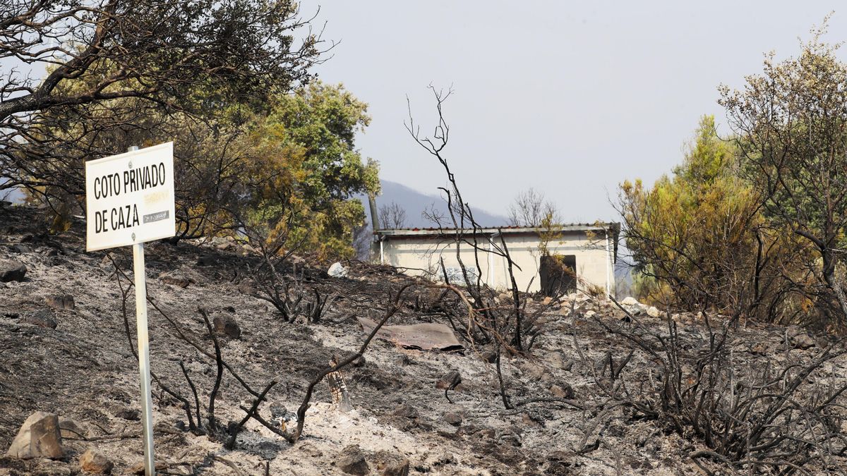 Incendio de Castropodame