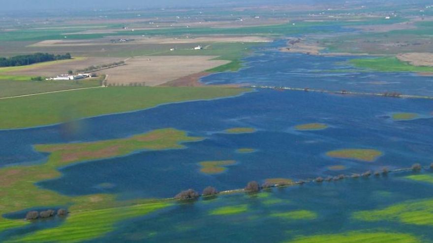 Humedales del Acuífero 23