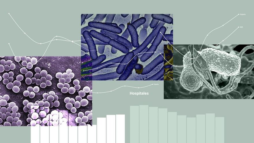 La larga carrera contra las bacterias resistentes a los antibióticos: "Pese a los esfuerzos, siguen subiendo"