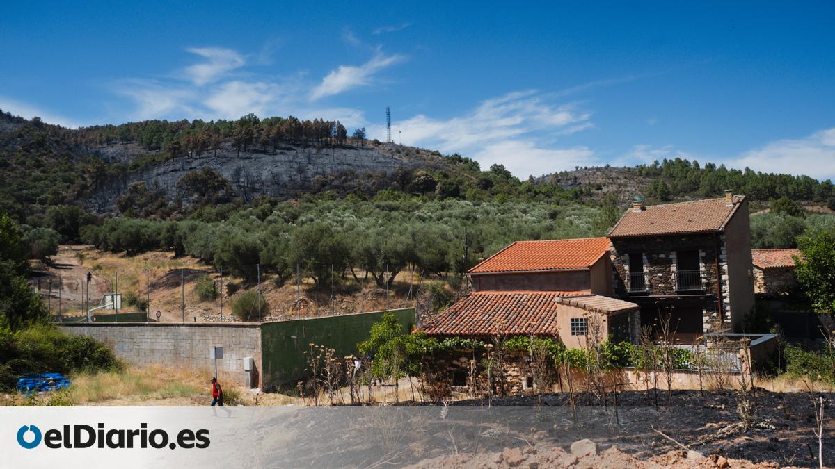 Castilla-La Mancha ya trabaja en «el día después» del incendio de La Mierla: anuncia un plan de recuperación – elDiario.es
