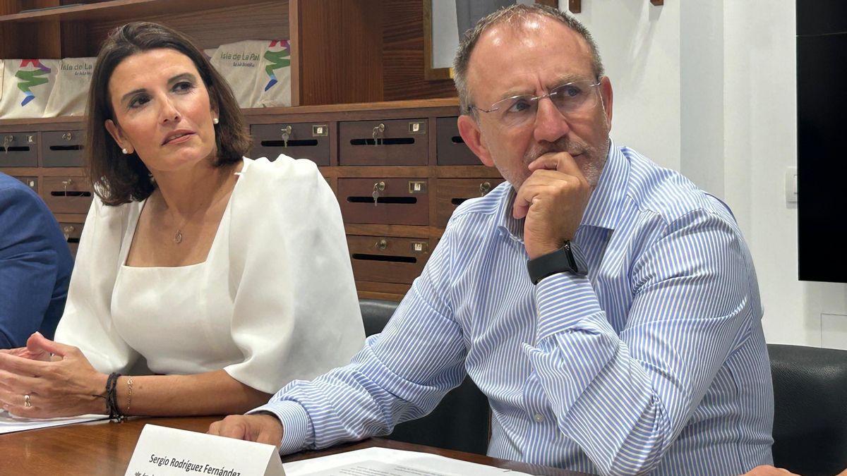 El Cabildo “logra” que Aena mantenga la exención de tasas aéreas para La Palma