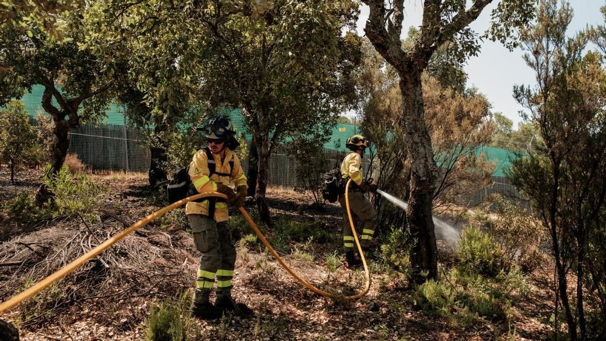 Bomberos forestales de Andalucía trabajando