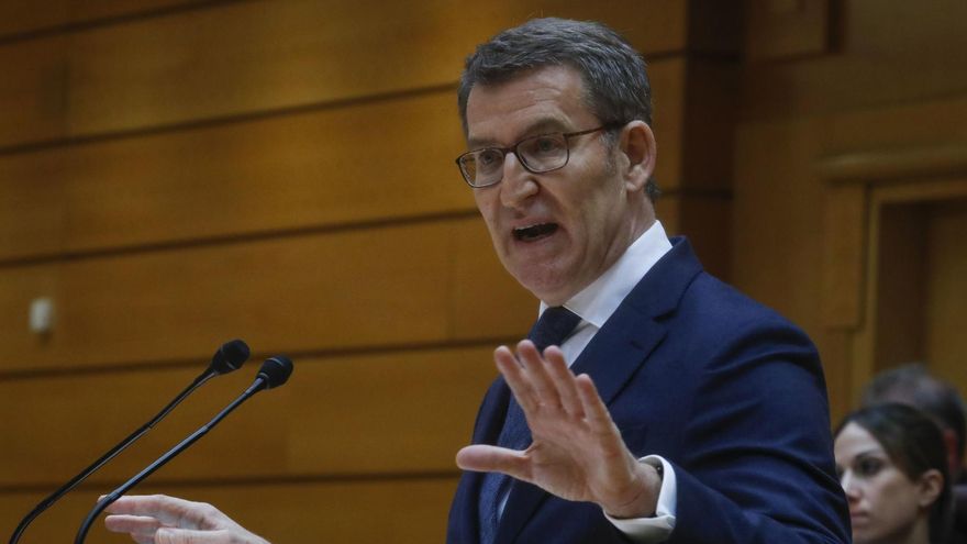 El líder del PP, Alberto Núñez Feijóo, interviene en el pleno del Senado, este martes en Madrid.