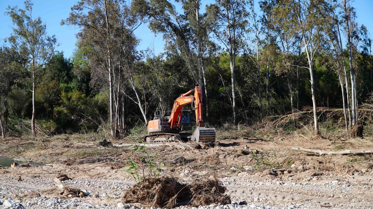 Trabajos de la CHJ en Pedralba.