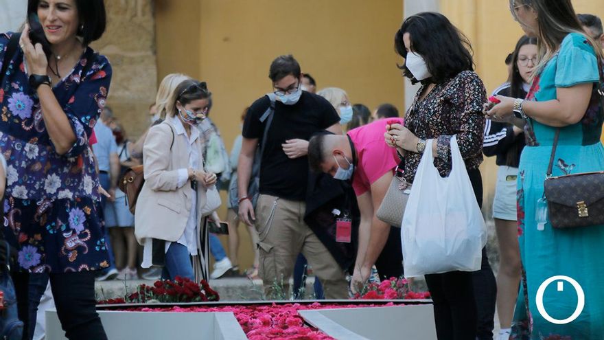 Instalación de Flora 2021 en la Mezquita - Catedral de Córdoba