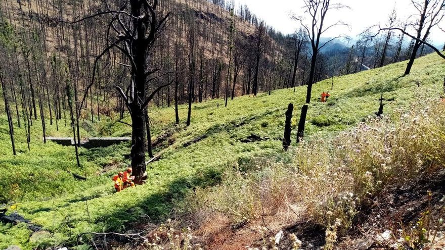 Para el seguimiento del impacto producido por el fuego en las pérdidas de suelo y de la efectividad de las medidas de prevención, se desarrollaron trabajos de investigación en 36 parcelas seleccionadas dentro del perímetro del incendio
