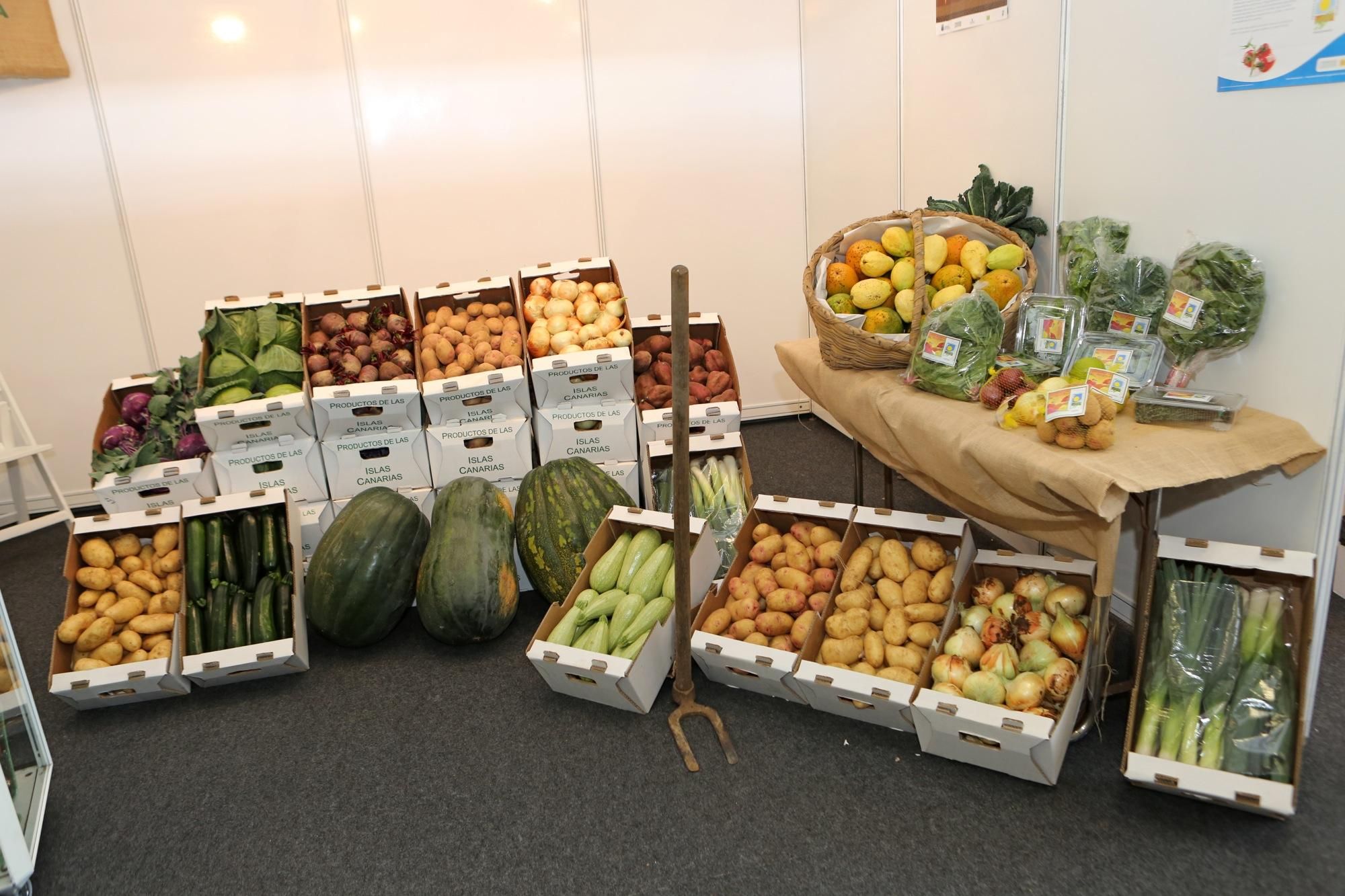 Feria Gran Canaria Me Gusta en Infecar (Las Palmas de Gran Canaria). Alejandro Ramos.