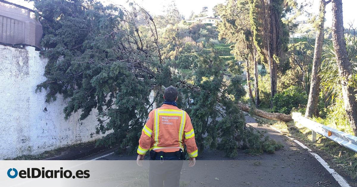 El Cabildo de Gran Canaria insiste: “Que nadie suba a la cumbre, el peligro es muy serio”