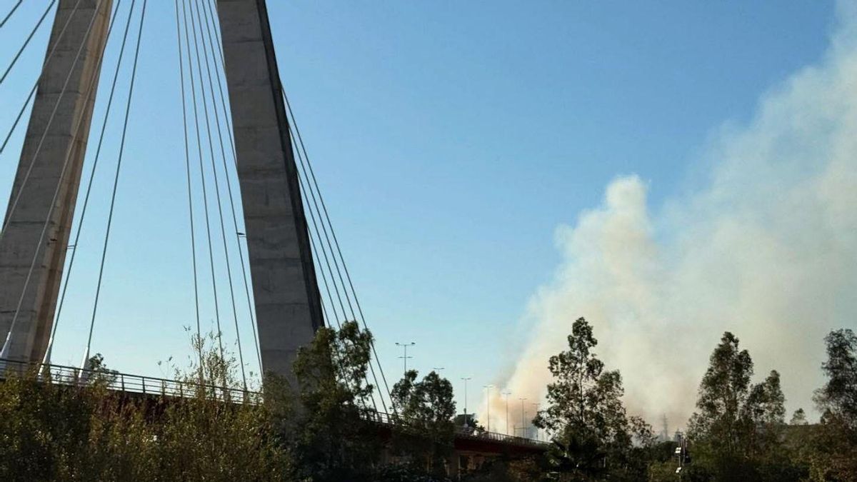 El fuego en la zona de Puente Real