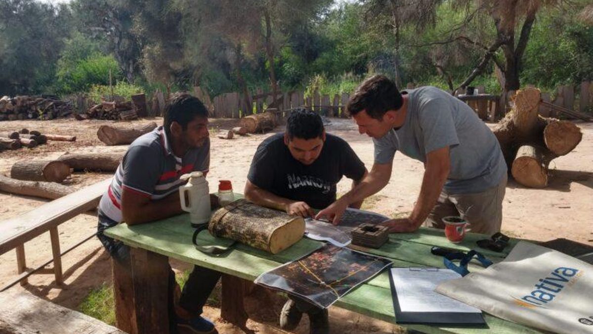 El estudio recolectó 15 042 permisos de uso forestal, 127 632 guías de transporte de madera y decisiones oficiales tomadas entre 2009 y 2024 en la provincia de Chaco. Foto: cortesía Matías Mastrángelo