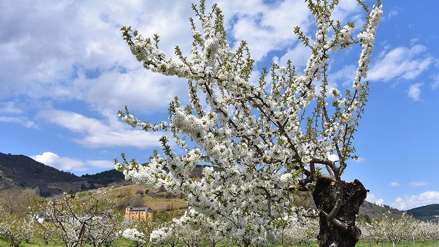 La ruta de senderismo de un pueblo de León que no te puedes perder para disfrutar de los cerezos en flor