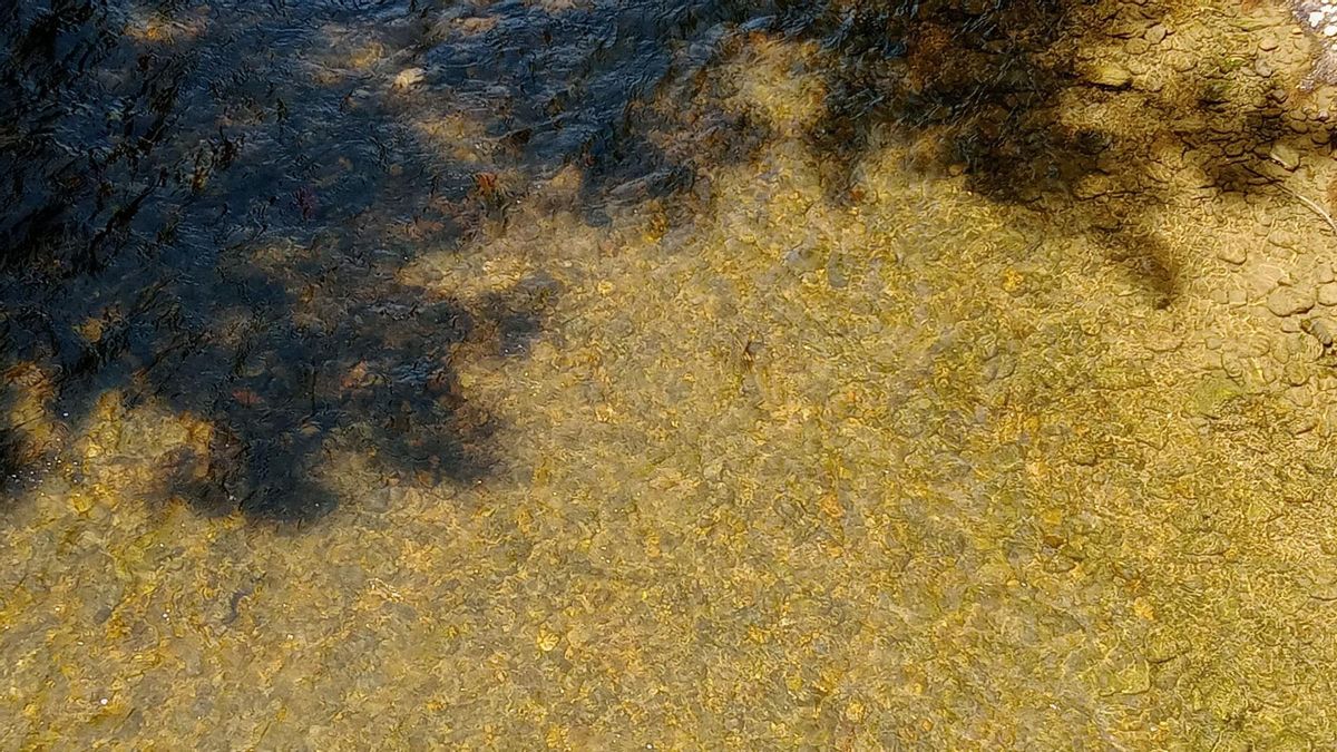 Lecho del río Bernesga, hoy cristalino.