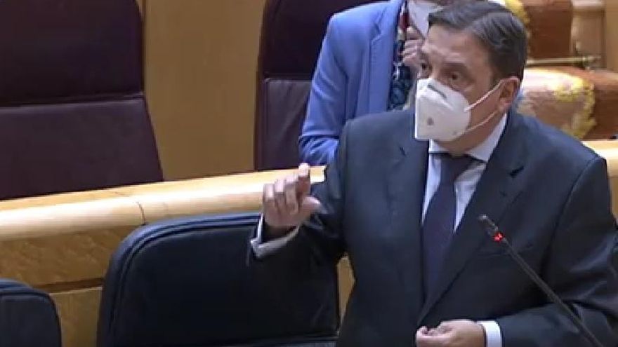 El ministro en el Senado
