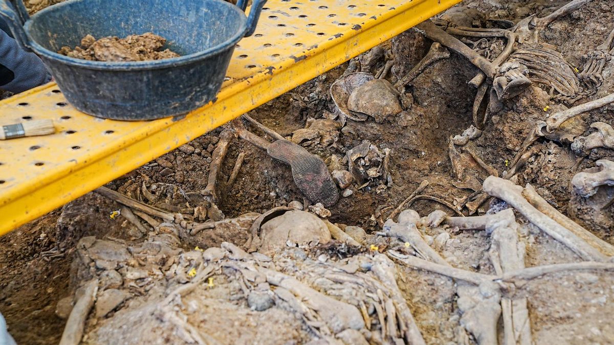 La Fiscalía impulsa seis investigaciones en Córdoba para esclarecer crímenes del franquismo