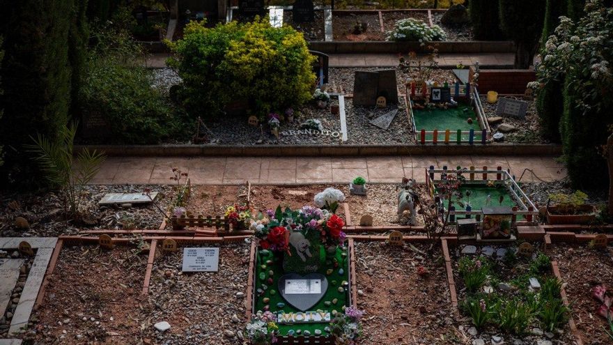 Perros, gatos, iguanas y hasta moscas: el cementerio de mascotas más antiguo de España está en Barcelona