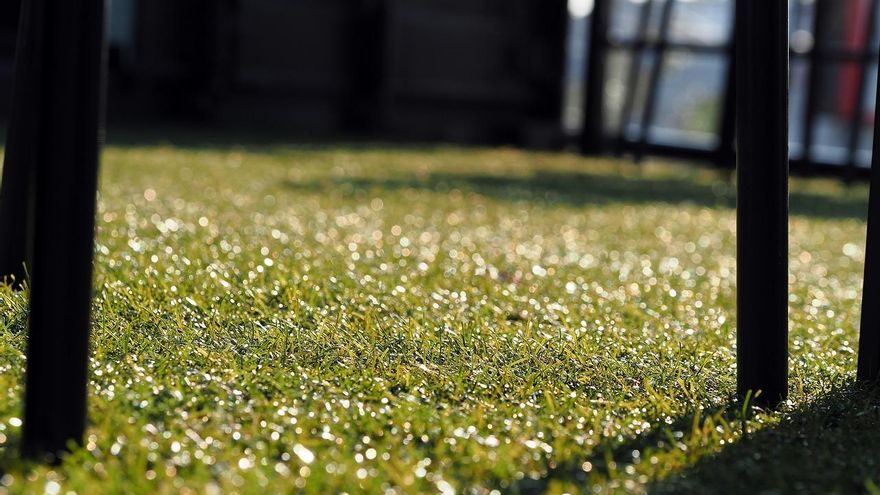 Puesta a punto de terrazas y balconcitos: cómo limpiar el césped artificial