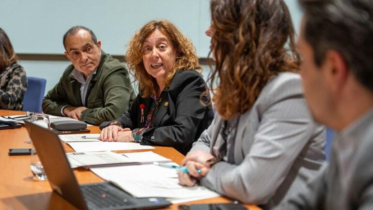 El Cercanías de Álava mejora en un 35% el volumen de viajeros del sistema anterior en el primer medio año