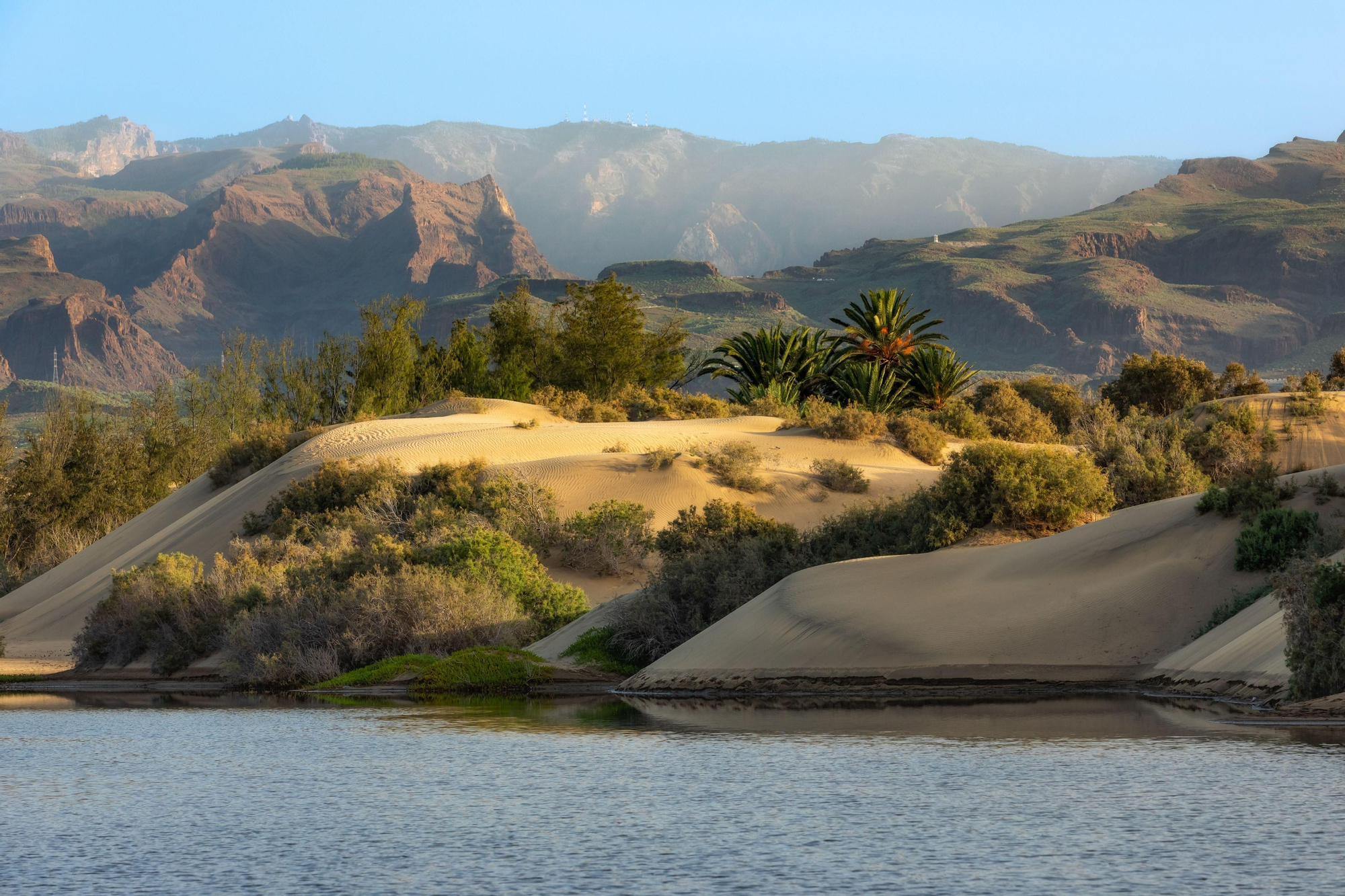 Charca y Dunas de Maspalomas