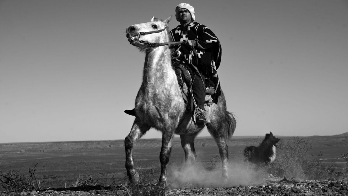 Mapuches