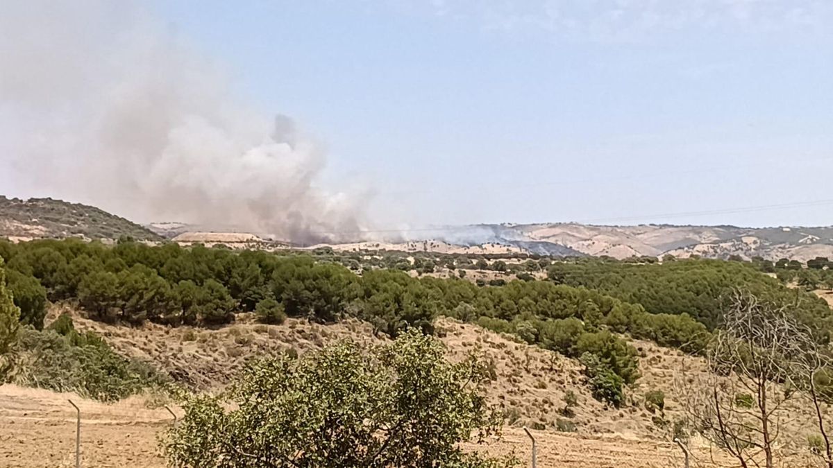 El Infoca acude a un nuevo incendio en el campo de maniobras de Cerro Muriano