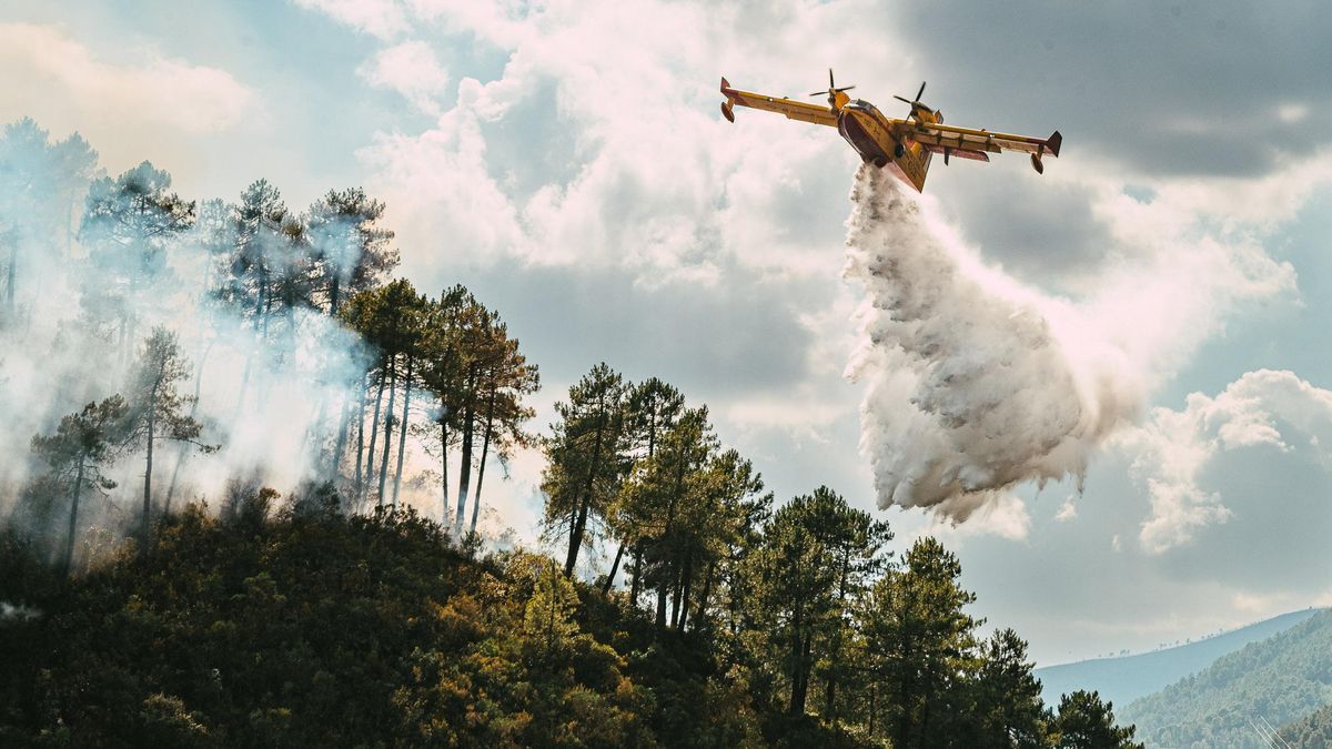 Estabilizado y en nivel 1 el incendio de Las Hurdes tras quemar 4.350 hectáreas