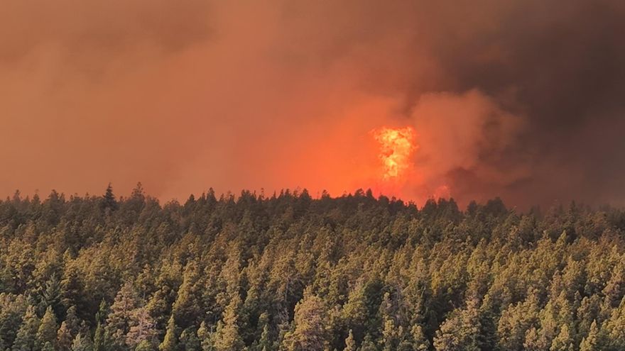 Los incendios en la Patagonia no se detienen y afectan ya más de 20.000 hectáreas