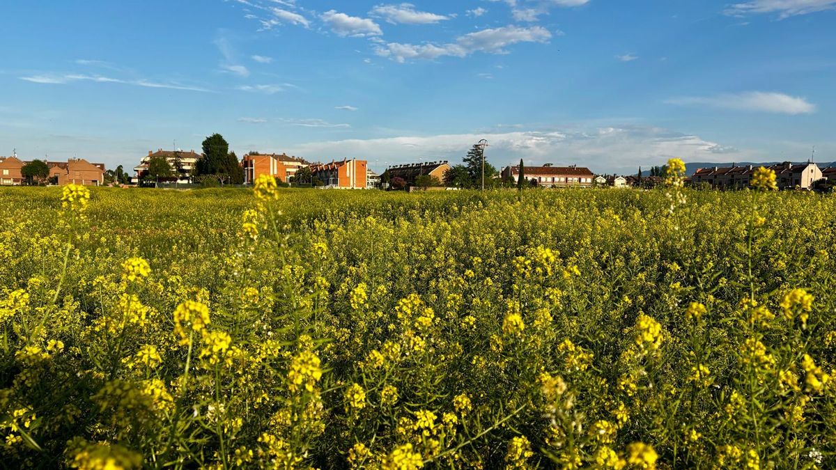 Ligera bajada de las temperaturas máximas este miércoles en La Rioja