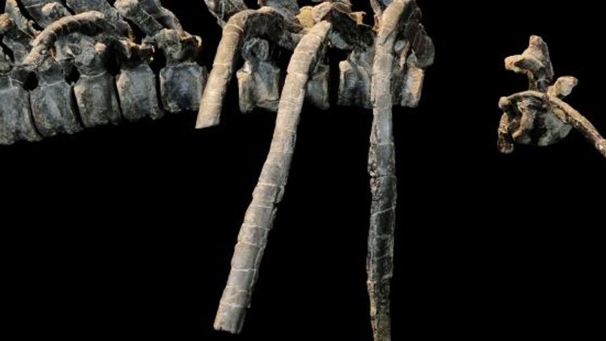 El dinosaurio de Aliaga que se expone en Dinópolis