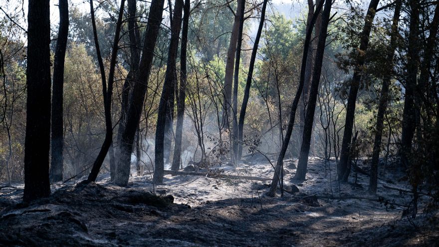 Última hora sobre los incendios en España: la UME interviene por el fuego en Castillonroy, en Huesca