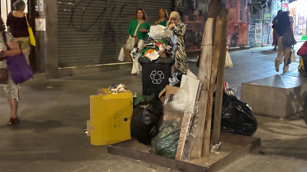 Desperdicios apilados en el alcorque de un árbol en el distrito Centro
