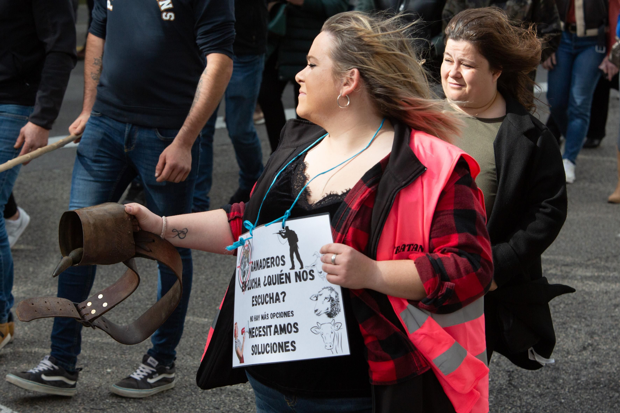 Manifestación que recorrió las calles de Oviedo