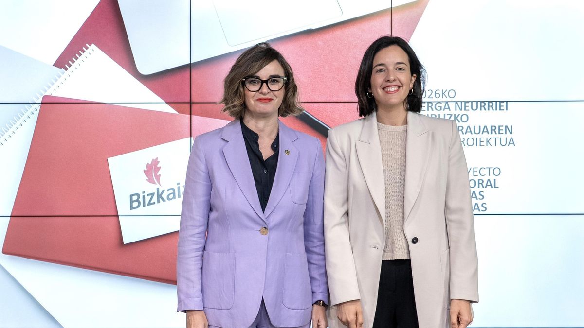 El PNV de Bizkaia presenta en Madrid su 'revolución' fiscal sin pactar con el PSE-EE ni armonizarla con Álava y Gipuzkoa