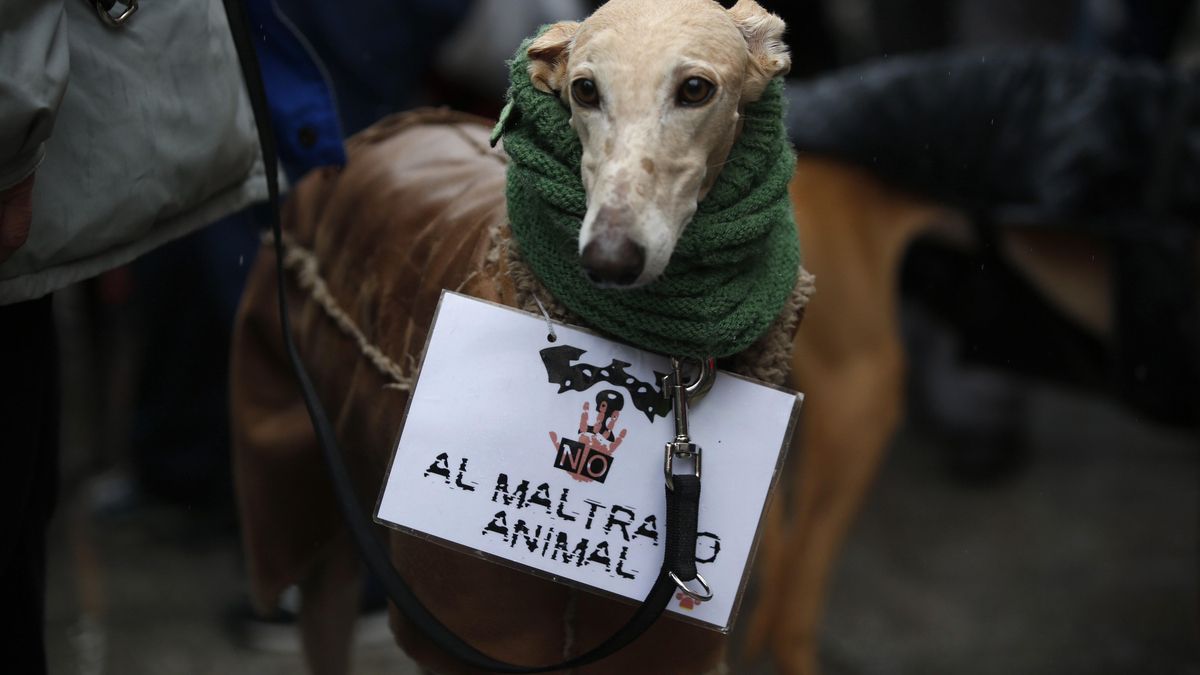 Fotografía de archivo de una manifestación en Madrid para exigir la aprobación de una ley estatal de protección animal. EFE/Javier Lizon