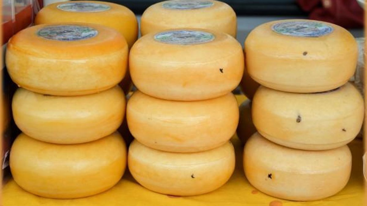Que no te la den con queso: los cinco quesos que debes probar si viajas a Países Bajos