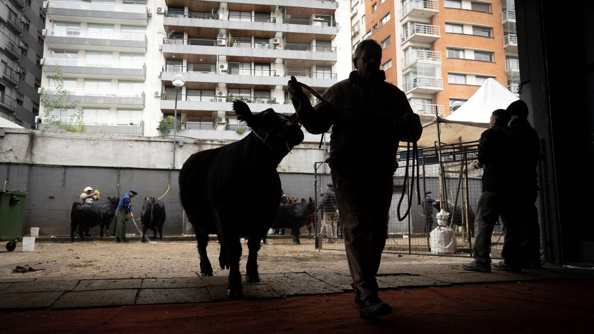 El consumo de carne vacuna alcanzó el año pasado un mínimo histórico: cayó a casi 45 kilos por persona, el nivel más bajo en 110 años.
