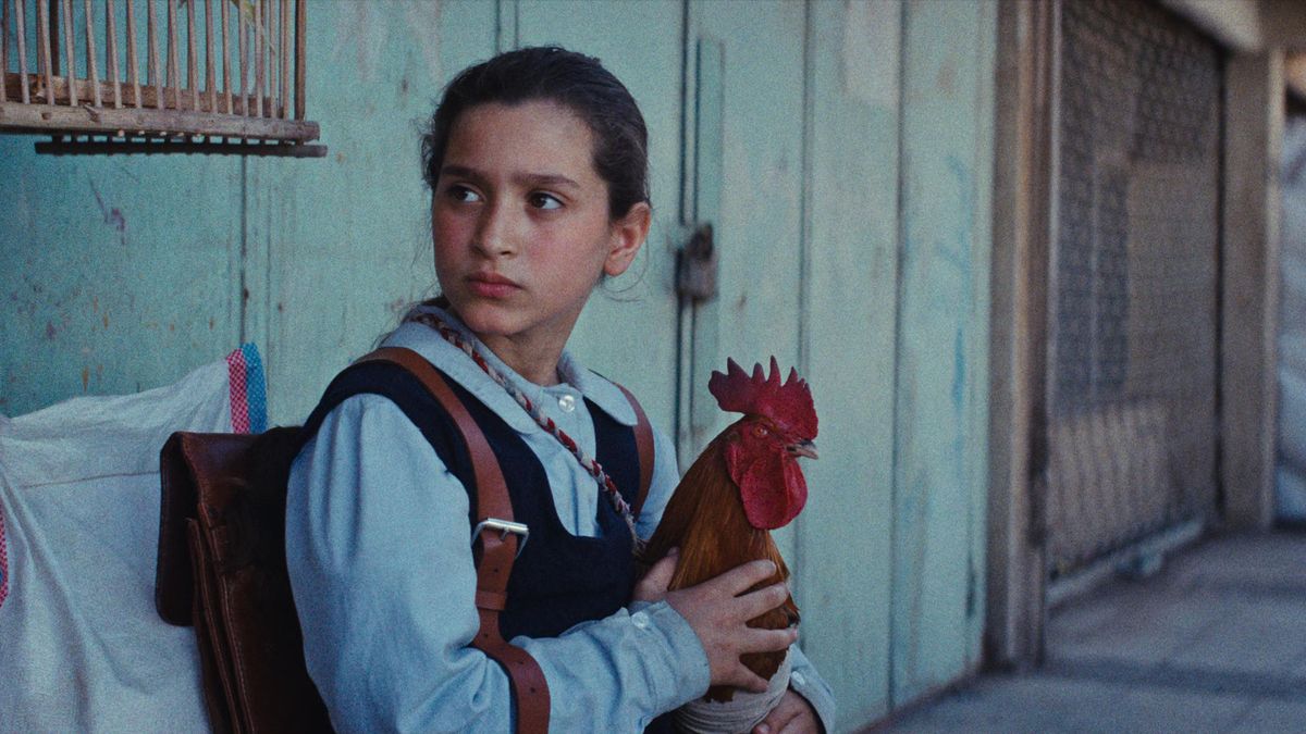 El gallo Hindi, otro de los protagonistas de la película