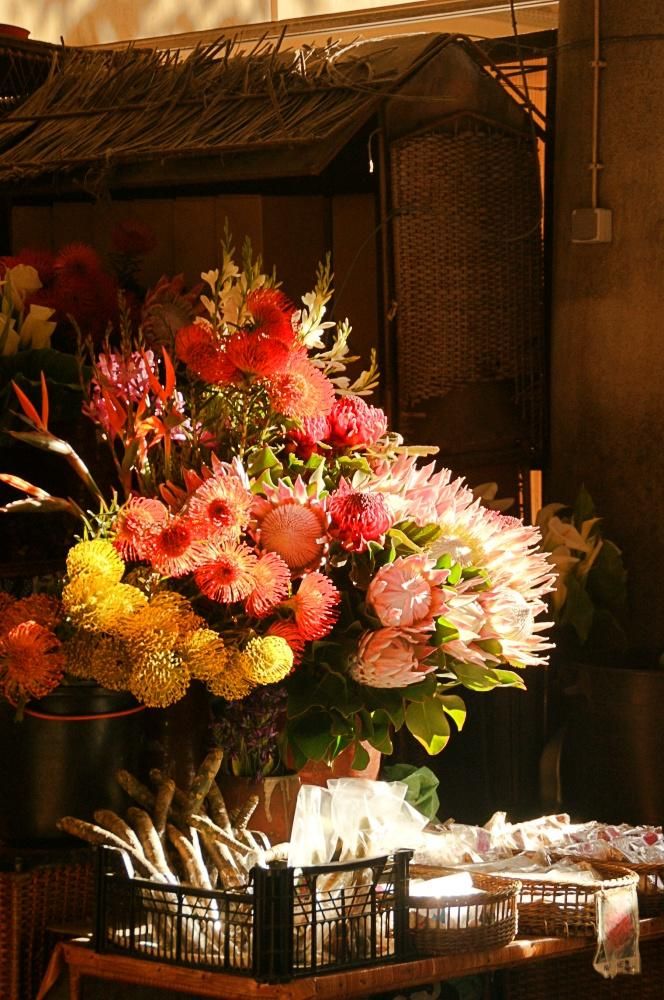 Parte de la economía de Madeira depende de la exportación de flores