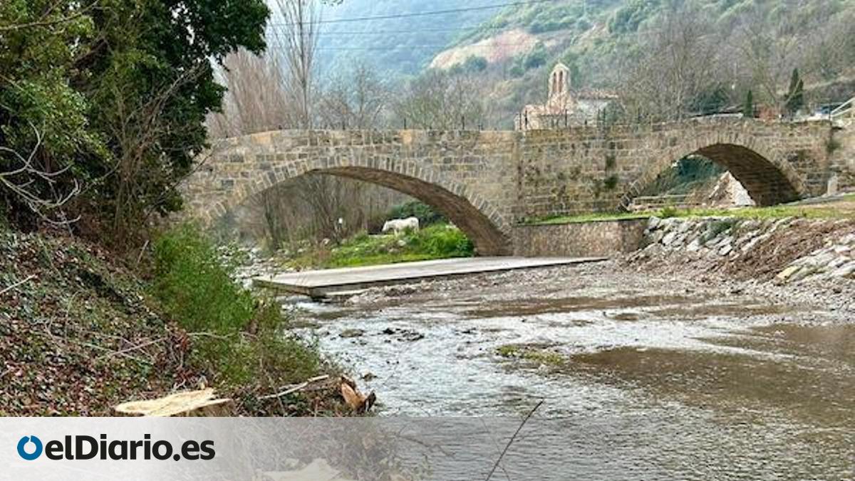 El PSOE denuncia una "tala indiscriminada de árboles en una zona ...