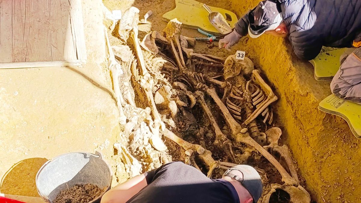 La fosa más grande de Aragón vuelve a abrirse: las balas de pequeño calibre que cuentan cómo fueron los asesinatos